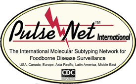 PulseNet International logo