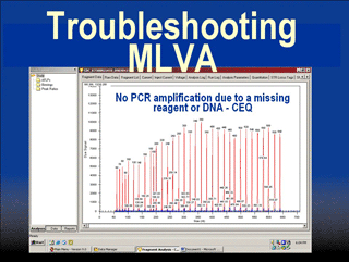 MLVA Troubleshooting PDF