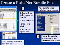 Creation and File Location of PulseNet Bundle Files - PDF 432KB