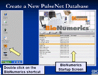 How to create a new database and install pulsenet scripts - PDF 915KB