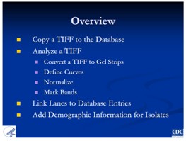 Analyzing a TIFF - PDF 5331KB