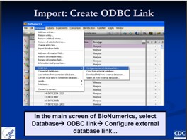 Importing Data in BioNumerics - PDF 1484KB